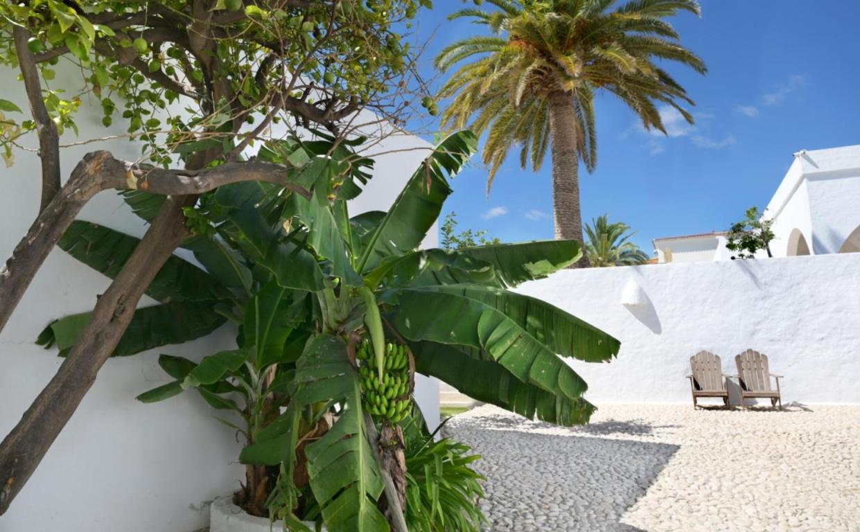 Mauresque Experience Luxury Διαμέρισμα Τορρεμολίνος Εξωτερικό φωτογραφία